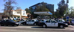 Northridge Kidnap Suspect May Be in County; Has Flaming Skeleton Tattoo